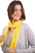 Kasjmier accessoires sjaals ozone daffodil 160 x 30 cm