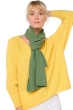 Kasjmier accessoires sjaals ozone foliage 160 x 30 cm