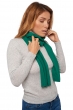 Kasjmier accessoires sjaals ozone green grass 160 x 30 cm