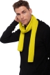 Kasjmier accessoires sjaals ozone maize 160 x 30 cm