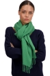Kasjmier accessoires sjaals tartempion basil 210 x 45 cm