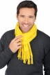 Kasjmier accessoires sjaals zak170 tournesol 170 x 25 cm