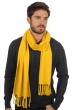 Kasjmier accessoires sjaals zak200 tournesol 200 x 35 cm