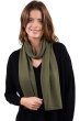 Kasjmier dames kasjmier sjaals ozone olive 160 x 30 cm