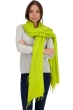 Kasjmier dames kasjmier sjaals tresor groene likeur 200 cm x 90 cm