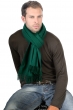 Kasjmier dames kasjmier sjaals zak170 engels groen 170 x 25 cm
